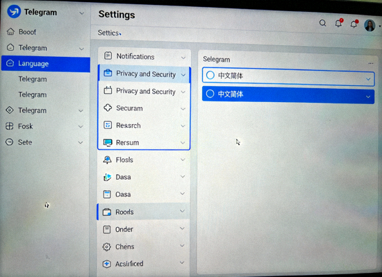 Telegram桌面版设置界面截图，高亮显示Language选项和中文简体选择